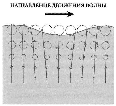 Занимательное волноведение. Волнения и колебания вокруг нас Занимательное волноведение. Волнения и колебания вокруг нас