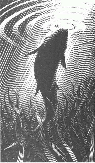 Занимательное волноведение. Волнения и колебания вокруг нас