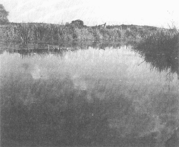 Занимательное волноведение. Волнения и колебания вокруг нас