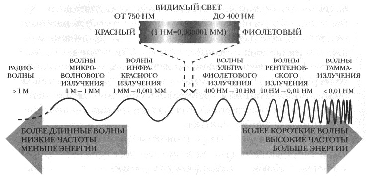 Занимательное волноведение. Волнения и колебания вокруг нас