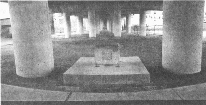 Занимательное волноведение. Волнения и колебания вокруг нас