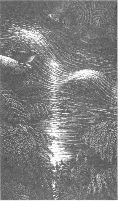 Занимательное волноведение. Волнения и колебания вокруг нас