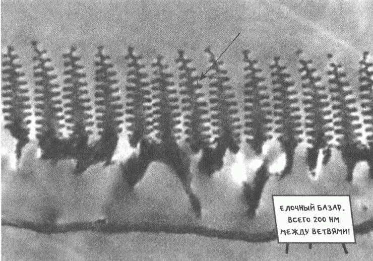 Занимательное волноведение. Волнения и колебания вокруг нас