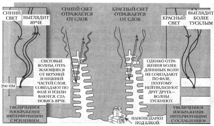 Занимательное волноведение. Волнения и колебания вокруг нас