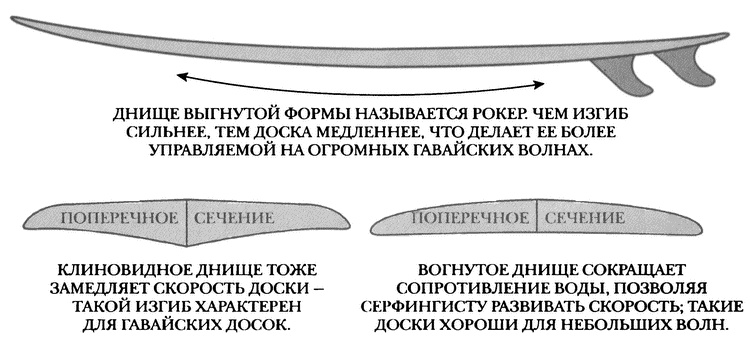 Занимательное волноведение. Волнения и колебания вокруг нас Занимательное волноведение. Волнения и колебания вокруг нас