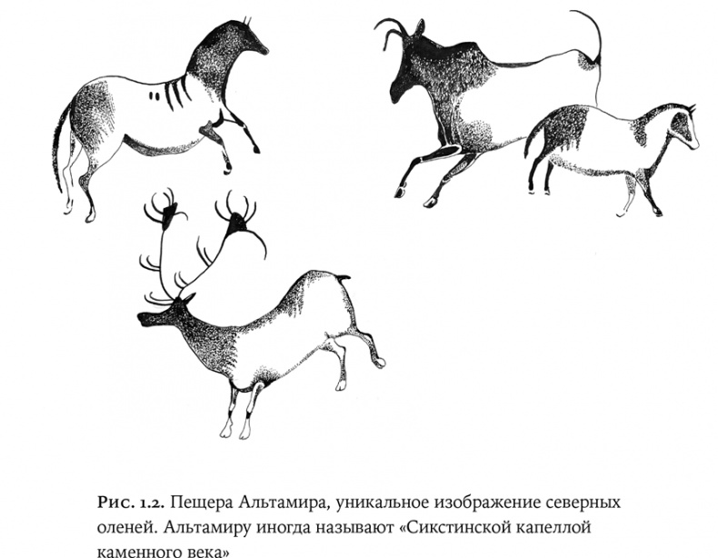 Люди и звери. Мифы и реальность Люди и звери. Мифы и реальность