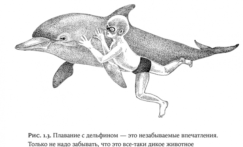 Люди и звери. Мифы и реальность Люди и звери. Мифы и реальность