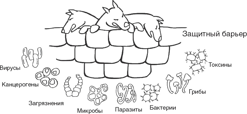 Твой второй мозг - кишечник. Книга-компас по невидимым связям нашего тела Твой второй мозг - кишечник. Книга-компас по невидимым связям нашего тела