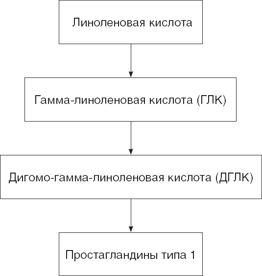 Твой второй мозг - кишечник. Книга-компас по невидимым связям нашего тела Твой второй мозг - кишечник. Книга-компас по невидимым связям нашего тела