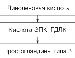 Твой второй мозг - кишечник. Книга-компас по невидимым связям нашего тела Твой второй мозг - кишечник. Книга-компас по невидимым связям нашего тела