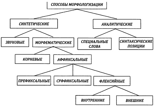 От предъязыка - к языку: введение в эволюционную лингвистику От предъязыка - к языку: введение в эволюционную лингвистику
