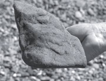 Абсолютный минимум. Как квантовая теория объясняет наш мир Абсолютный минимум. Как квантовая теория объясняет наш мир