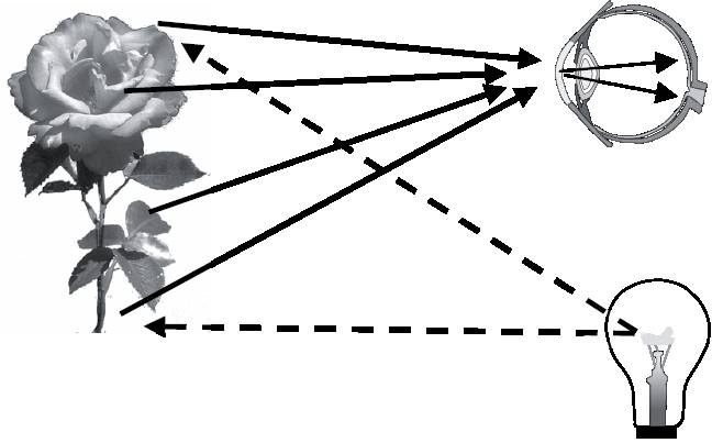 Абсолютный минимум. Как квантовая теория объясняет наш мир Абсолютный минимум. Как квантовая теория объясняет наш мир
