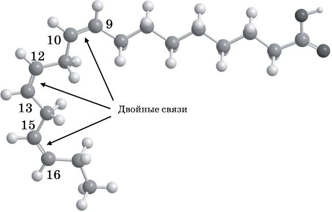 Абсолютный минимум. Как квантовая теория объясняет наш мир