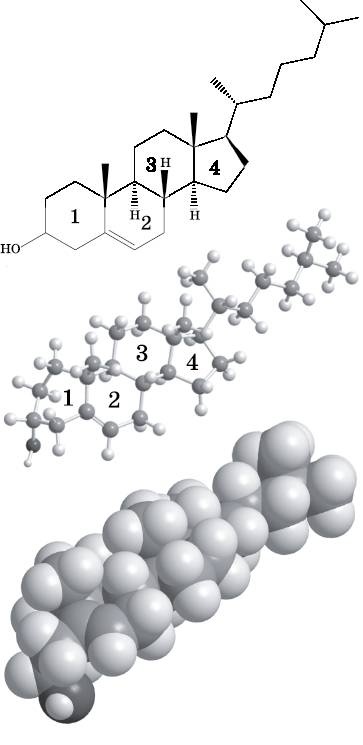 Абсолютный минимум. Как квантовая теория объясняет наш мир Абсолютный минимум. Как квантовая теория объясняет наш мир