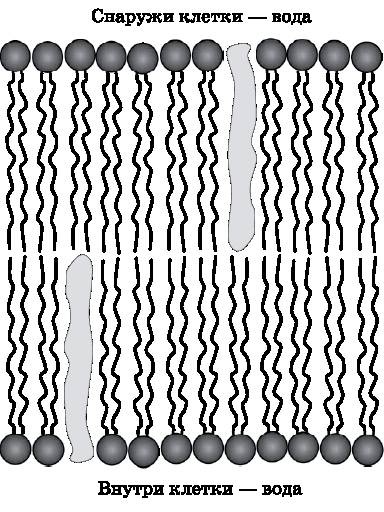 Абсолютный минимум. Как квантовая теория объясняет наш мир Абсолютный минимум. Как квантовая теория объясняет наш мир