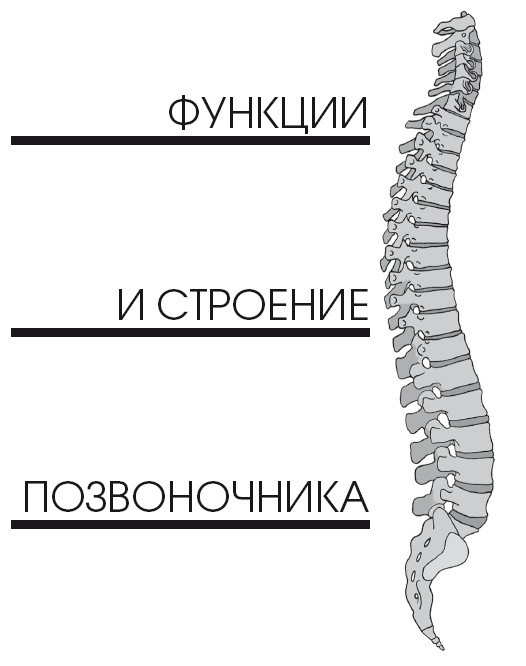 Диагностика и лечение позвоночника. Уникальная система доктора А. М. Уриа Диагностика и лечение позвоночника. Уникальная система доктора А. М. Уриа