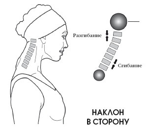 Диагностика и лечение позвоночника. Уникальная система доктора А. М. Уриа Диагностика и лечение позвоночника. Уникальная система доктора А. М. Уриа