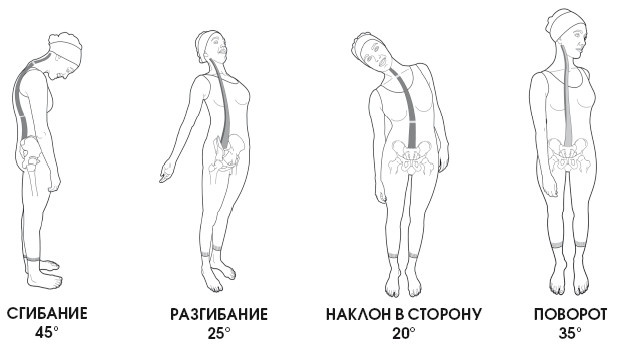 Диагностика и лечение позвоночника. Уникальная система доктора А. М. Уриа Диагностика и лечение позвоночника. Уникальная система доктора А. М. Уриа