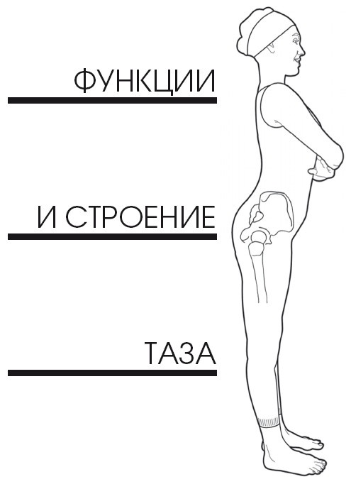 Диагностика и лечение позвоночника. Уникальная система доктора А. М. Уриа Диагностика и лечение позвоночника. Уникальная система доктора А. М. Уриа