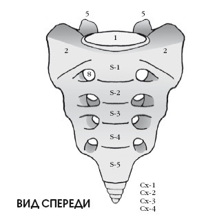 Диагностика и лечение позвоночника. Уникальная система доктора А. М. Уриа Диагностика и лечение позвоночника. Уникальная система доктора А. М. Уриа