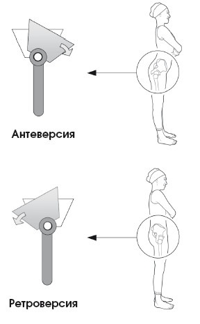 Диагностика и лечение позвоночника. Уникальная система доктора А. М. Уриа Диагностика и лечение позвоночника. Уникальная система доктора А. М. Уриа