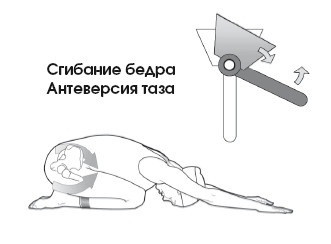 Диагностика и лечение позвоночника. Уникальная система доктора А. М. Уриа Диагностика и лечение позвоночника. Уникальная система доктора А. М. Уриа