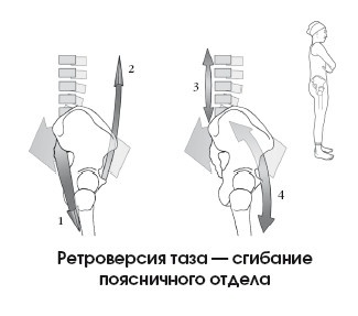 Диагностика и лечение позвоночника. Уникальная система доктора А. М. Уриа Диагностика и лечение позвоночника. Уникальная система доктора А. М. Уриа