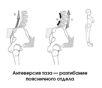 Диагностика и лечение позвоночника. Уникальная система доктора А. М. Уриа Диагностика и лечение позвоночника. Уникальная система доктора А. М. Уриа