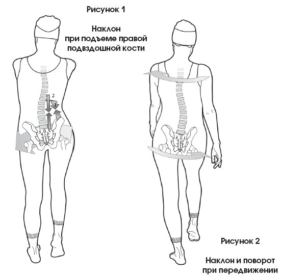 Диагностика и лечение позвоночника. Уникальная система доктора А. М. Уриа Диагностика и лечение позвоночника. Уникальная система доктора А. М. Уриа