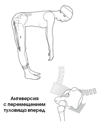 Диагностика и лечение позвоночника. Уникальная система доктора А. М. Уриа Диагностика и лечение позвоночника. Уникальная система доктора А. М. Уриа