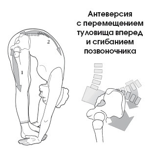 Диагностика и лечение позвоночника. Уникальная система доктора А. М. Уриа Диагностика и лечение позвоночника. Уникальная система доктора А. М. Уриа