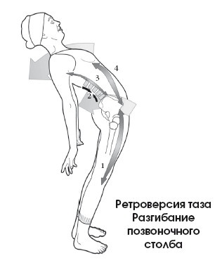 Диагностика и лечение позвоночника. Уникальная система доктора А. М. Уриа Диагностика и лечение позвоночника. Уникальная система доктора А. М. Уриа