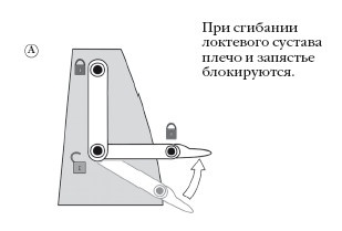 Диагностика и лечение позвоночника. Уникальная система доктора А. М. Уриа Диагностика и лечение позвоночника. Уникальная система доктора А. М. Уриа