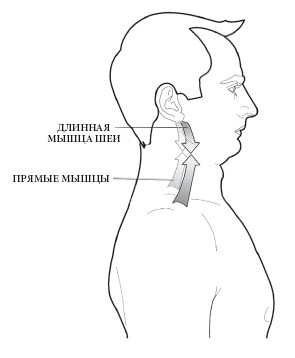Диагностика и лечение позвоночника. Уникальная система доктора А. М. Уриа Диагностика и лечение позвоночника. Уникальная система доктора А. М. Уриа