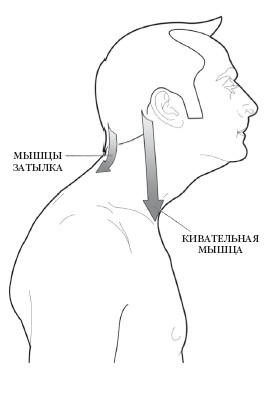 Диагностика и лечение позвоночника. Уникальная система доктора А. М. Уриа Диагностика и лечение позвоночника. Уникальная система доктора А. М. Уриа