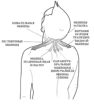 Диагностика и лечение позвоночника. Уникальная система доктора А. М. Уриа Диагностика и лечение позвоночника. Уникальная система доктора А. М. Уриа