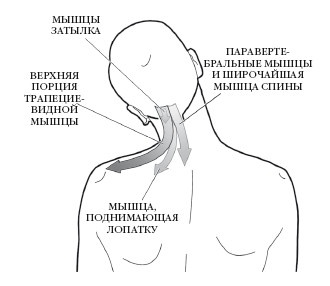 Диагностика и лечение позвоночника. Уникальная система доктора А. М. Уриа Диагностика и лечение позвоночника. Уникальная система доктора А. М. Уриа