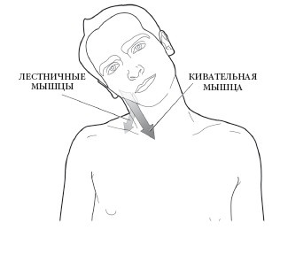 Диагностика и лечение позвоночника. Уникальная система доктора А. М. Уриа Диагностика и лечение позвоночника. Уникальная система доктора А. М. Уриа