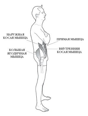 Диагностика и лечение позвоночника. Уникальная система доктора А. М. Уриа Диагностика и лечение позвоночника. Уникальная система доктора А. М. Уриа