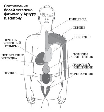 Диагностика и лечение позвоночника. Уникальная система доктора А. М. Уриа Диагностика и лечение позвоночника. Уникальная система доктора А. М. Уриа