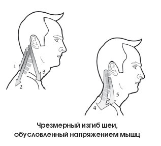 Диагностика и лечение позвоночника. Уникальная система доктора А. М. Уриа Диагностика и лечение позвоночника. Уникальная система доктора А. М. Уриа