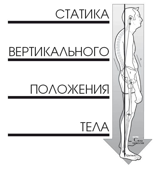 Диагностика и лечение позвоночника. Уникальная система доктора А. М. Уриа Диагностика и лечение позвоночника. Уникальная система доктора А. М. Уриа