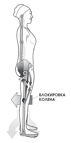 Диагностика и лечение позвоночника. Уникальная система доктора А. М. Уриа Диагностика и лечение позвоночника. Уникальная система доктора А. М. Уриа