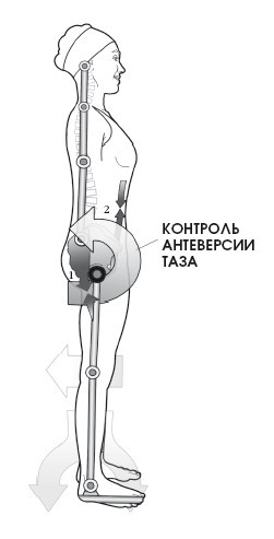 Диагностика и лечение позвоночника. Уникальная система доктора А. М. Уриа Диагностика и лечение позвоночника. Уникальная система доктора А. М. Уриа