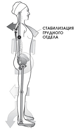 Диагностика и лечение позвоночника. Уникальная система доктора А. М. Уриа Диагностика и лечение позвоночника. Уникальная система доктора А. М. Уриа