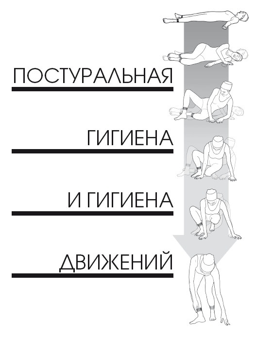 Диагностика и лечение позвоночника. Уникальная система доктора А. М. Уриа Диагностика и лечение позвоночника. Уникальная система доктора А. М. Уриа