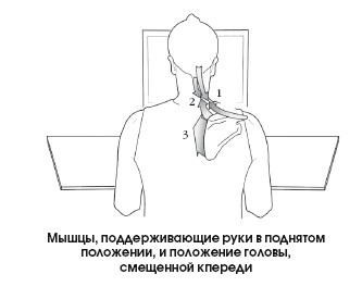 Диагностика и лечение позвоночника. Уникальная система доктора А. М. Уриа Диагностика и лечение позвоночника. Уникальная система доктора А. М. Уриа