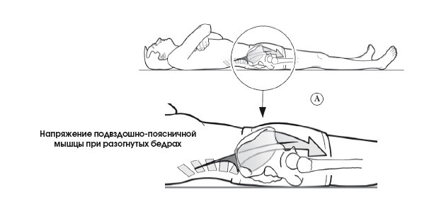Диагностика и лечение позвоночника. Уникальная система доктора А. М. Уриа Диагностика и лечение позвоночника. Уникальная система доктора А. М. Уриа