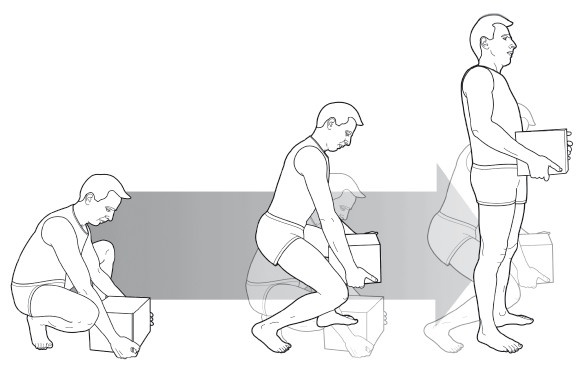 Диагностика и лечение позвоночника. Уникальная система доктора А. М. Уриа Диагностика и лечение позвоночника. Уникальная система доктора А. М. Уриа